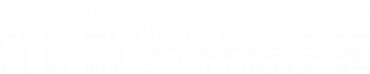 Plan de recuperación, transformación y resiliencia